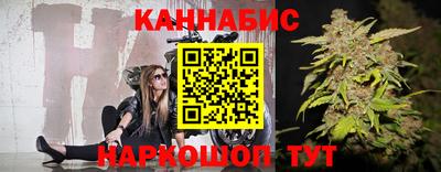 крисы Гагарин