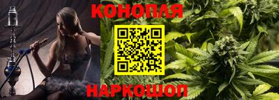 гашик Волгодонск