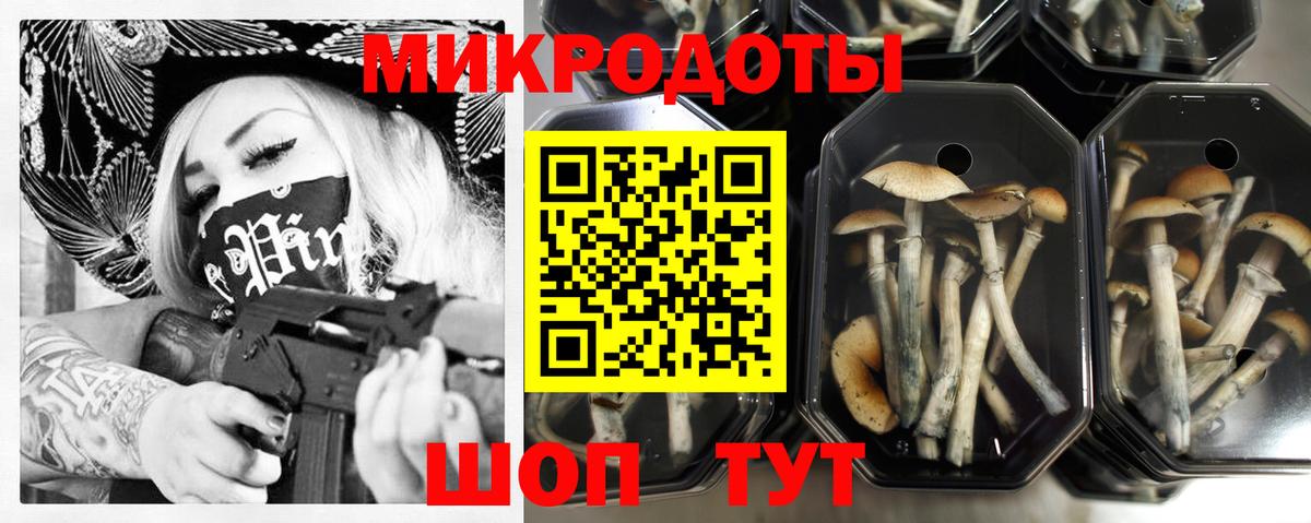 Псилоцибиновые грибы Psilocybine cubensis Похвистнево
